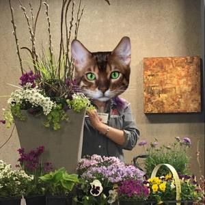 Meet your Posher, Brandy